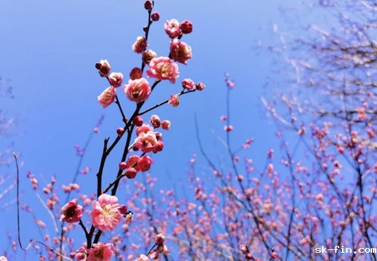 刚删除的照片怎么恢复？教你3个找回方法!