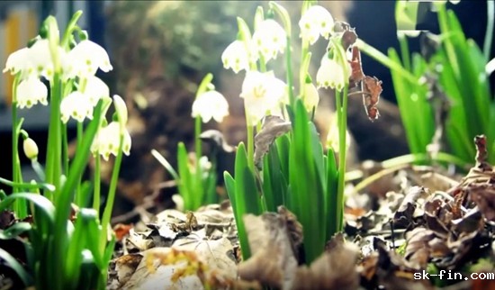 照片删除了怎么恢复回来？手机/电脑/云盘全场景急救指南！