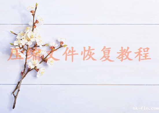 重庆数据恢复公司有哪些？推荐几个专业找回您的宝贵数据！