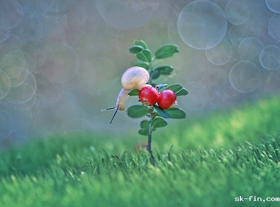 电脑照片删除了怎么恢复回来？别怕，这里有恢复秘籍！