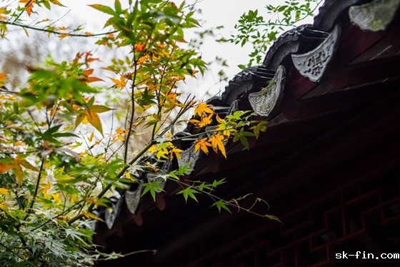 最近删除的照片删除怎么恢复？可尝试这几种方法！