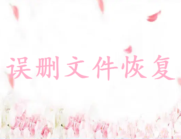 误删图片如何恢复？试试这6个常用的找回方法！