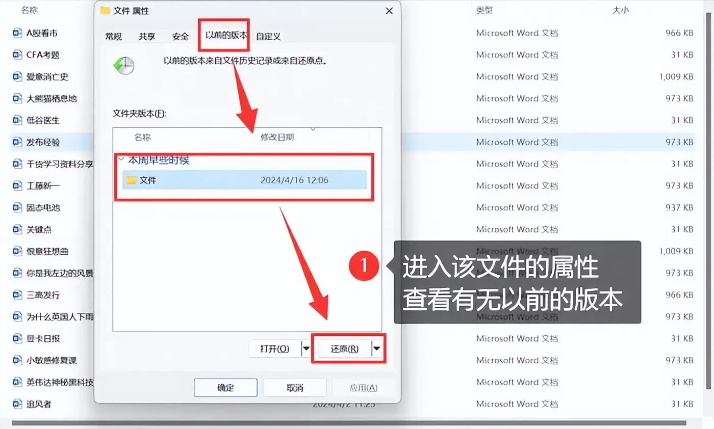 尝试使用文件恢复功能