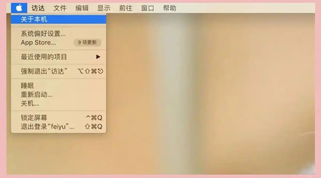 macOS系统查询方法步骤二