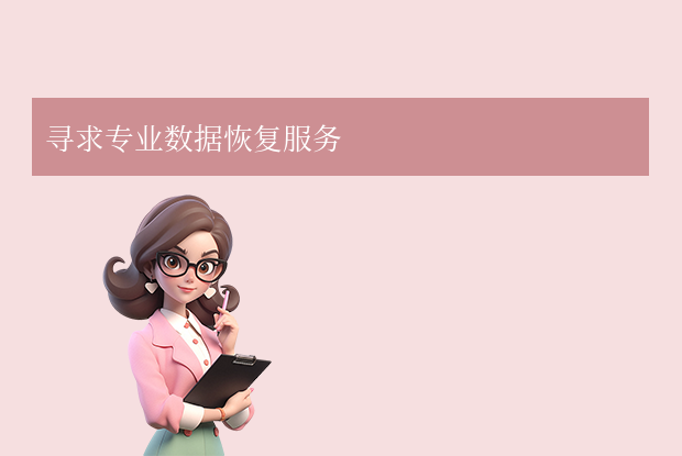 寻求专业数据恢复服务