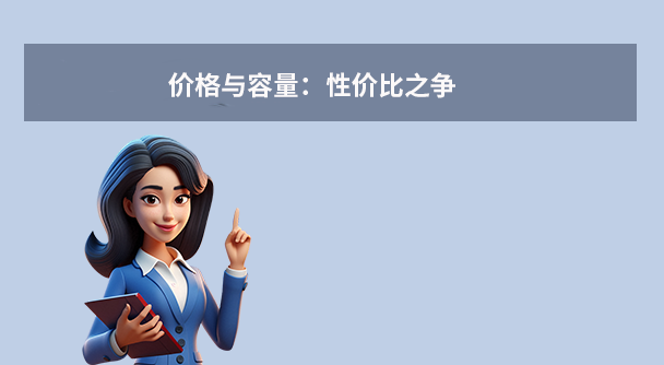 价格与容量：性价比之争