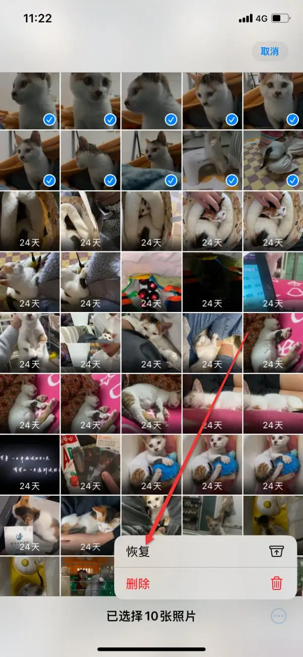 从“最近删除”相册直接恢复步骤二