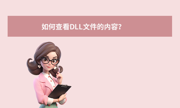 如何查看DLL文件的内容？
