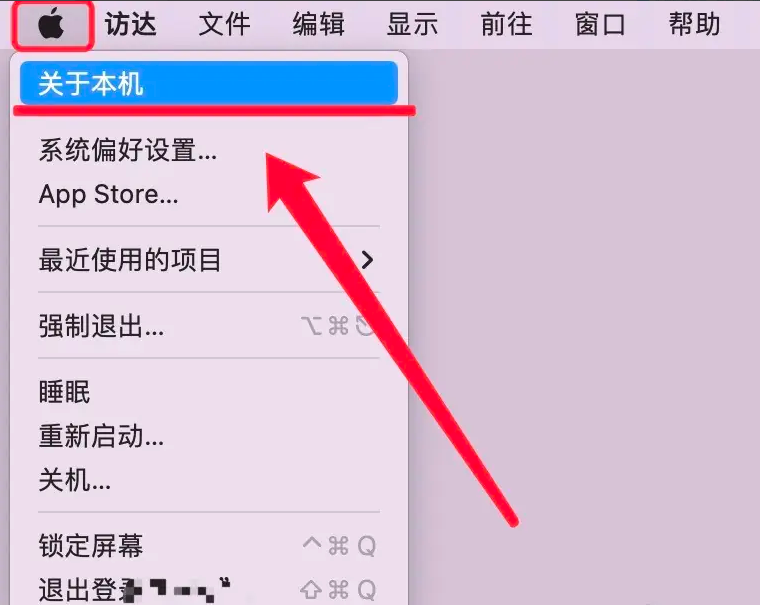 通过系统信息查看（适合Windows/Mac用户）步骤三