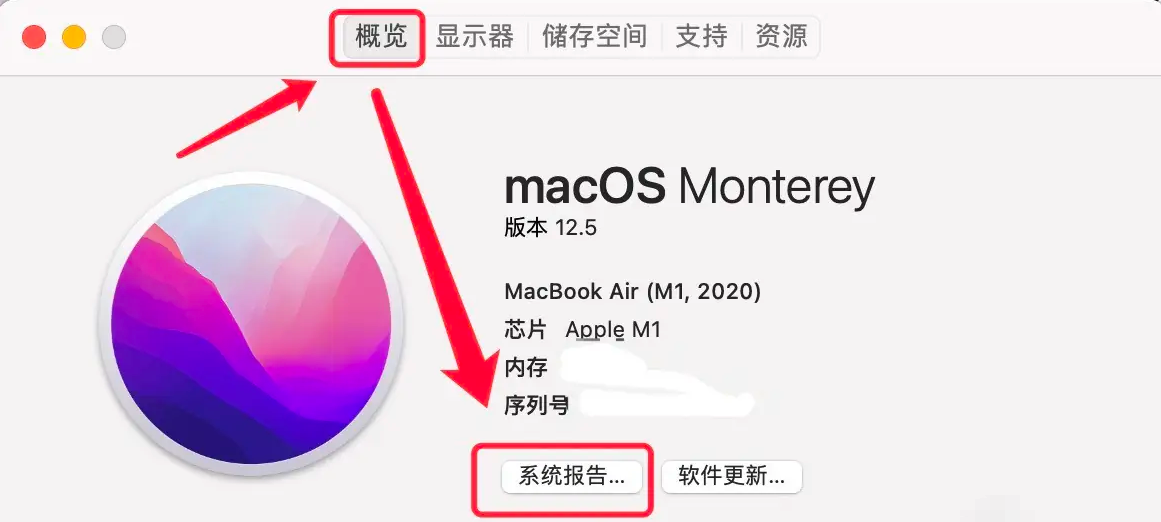通过系统信息查看（适合Windows/Mac用户）步骤四
