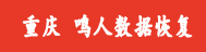2. 鸣人（重庆）数据恢复中心