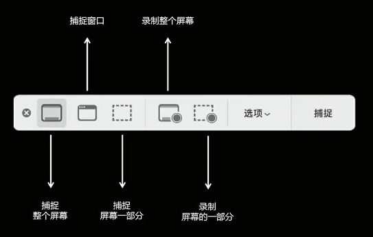 电脑截长图方法（Windows + macOS）步骤二