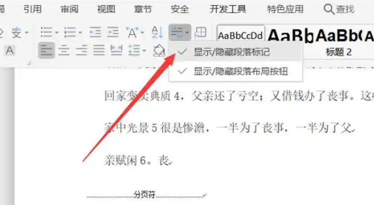 分页符/分节符专项清理