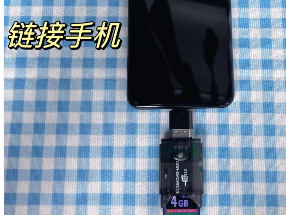 通过 DJI Fly / DJI GO 4 App 格式化 (便捷之选)