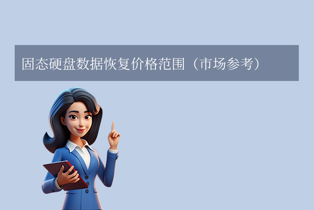 固态点点平台官网登录入口价格范围（市场参考）