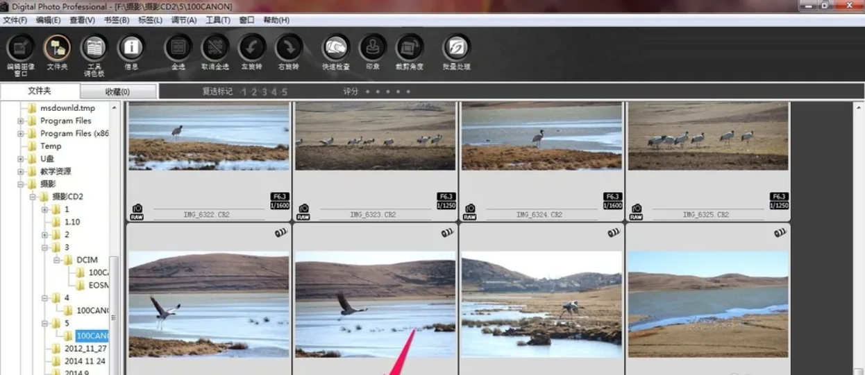 使用佳能官方软件DPP修复步骤二