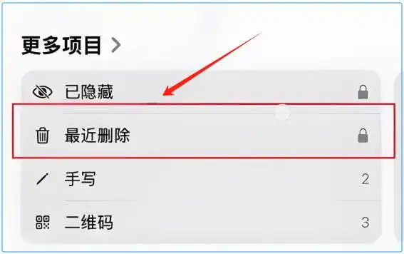 立即检查“最近删除”相册步骤二